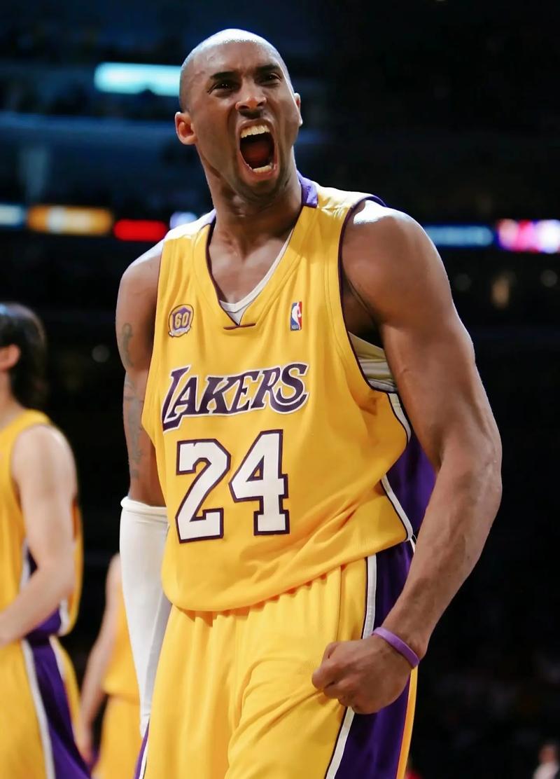 广厦提供了 广厦提供了