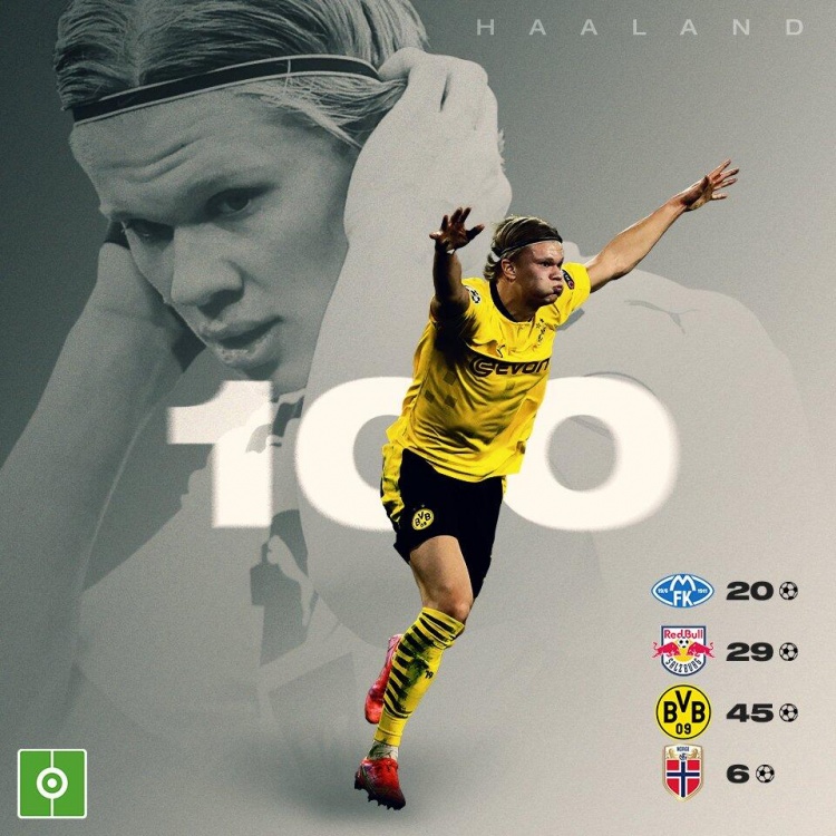 荡期转向可 荡期转向可